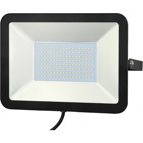 ĐÈN PHA LED FL100W T/V